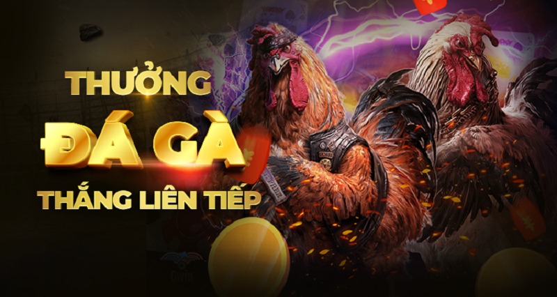 Khuyến Mãi Sv3888 – Thưởng Đá Gà Thắng Liên Tiếp