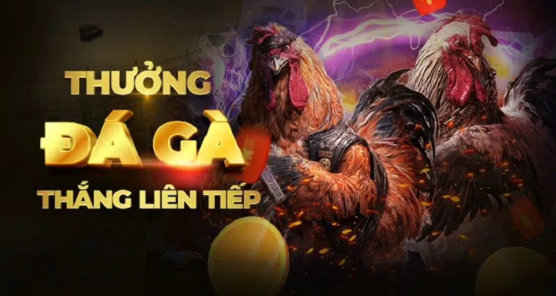 Khuyến Mãi Sv3888 – Thưởng Đá Gà Thắng Liên Tiếp