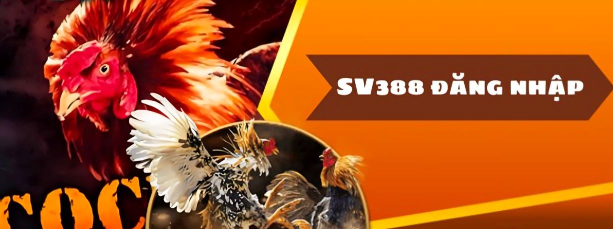 Cách Đăng Nhập Sv3888 - Hướng Dẫn Thao Tác Cực Đơn Giản Cho Tân Thủ