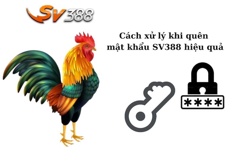 Quên Mật Khẩu Sv3888 - Hướng Dẫn Lấy Lại Mật Khẩu Siêu Tốc