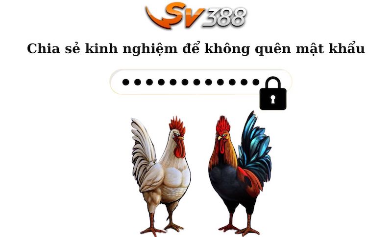 Quên Mật Khẩu Sv3888 - Hướng Dẫn Lấy Lại Mật Khẩu Siêu Tốc