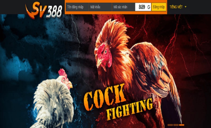 Thực Hư Việc Sv3888 Lừa Đảo Người Chơi? Sự Thật Bạn Nên Biết